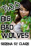 Two Big Bad Wolves (Werewolf Paranormal Threesome Erotica) (eBook, ePUB) Two Big Bad Wolves (Werewolf Paranormal Threesome Erotica) (eBook, ePUB)