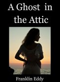 A Ghost in the Attic (eBook, ePUB)