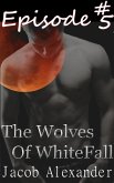 Episode 5: The Wolves of WhiteFall (eBook, ePUB)