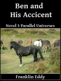 Ben and His Accident (Parallel Universes Series, #3) (eBook, ePUB) - Eddy, Franklin