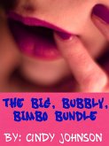 The Big, Bubbly, Bimbo Bundle (eBook, ePUB) The Big, Bubbly, Bimbo Bundle (eBook, ePUB)