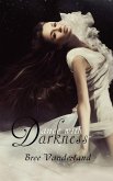 Dance with Darkness (eBook, ePUB)