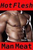 Hot Flesh, Man Meat (Gay Erotica) (eBook, ePUB) Hot Flesh, Man Meat (Gay Erotica) (eBook, ePUB)