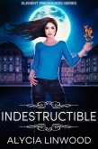 Indestructible (Element Preservers, #5) (eBook, ePUB)