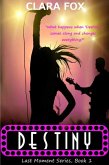 Destiny (Last Moment Book Series, #1) (eBook, ePUB) Destiny (Last Moment Book Series, #1) (eBook, ePUB)