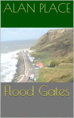 Flood Gates (eBook, ePUB) - Place, Alan