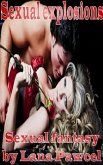 Sexual Explosions (eBook, ePUB) Sexual Explosions (eBook, ePUB)