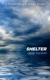 Shelter: A Supernatural Short Story (eBook, ePUB)