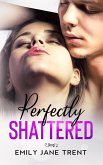 Perfectly Shattered (Sexy & Dangerous, #1) (eBook, ePUB)