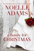A Family for Christmas (Willow Park, #3) (eBook, ePUB)