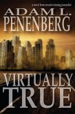 Virtually True (eBook, ePUB)