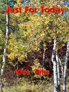 Just for Today (eBook, ePUB) - Dilts, Wee