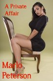 A Private Affair (eBook, ePUB) A Private Affair (eBook, ePUB)