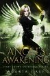 Angel's Awakening (eBook, ePUB) - Bild 1