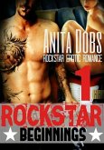 Rockstar Beginnings (Rockstar Erotic Romance #1) (eBook, ePUB)