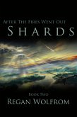 After The Fires Went Out: Shards (Book Two of the Unconventional Post-Apocalyptic Series) (eBook, ePUB)
