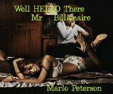 Hello There, Mr. Billionaire (eBook, ePUB) Hello There, Mr. Billionaire (eBook, ePUB)