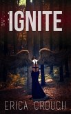 Ignite (eBook, ePUB)