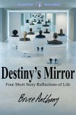 Destiny's Mirror (eBook, ePUB)