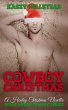 Cowboy Christmas (Down Under Cowboy... - Bild 1