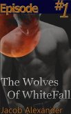 Episode 1: The Wolves Of WhiteFall (eBook, ePUB)