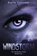 Windstorm (Elemental Clan, #4) (eBook,... - Bild 1
