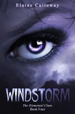 Windstorm (Elemental Clan, #4) (eBook, ePUB)