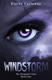 Windstorm (Elemental Clan, #4) (eBook, ePUB) Windstorm (Elemental Clan, #4) (eBook, ePUB)