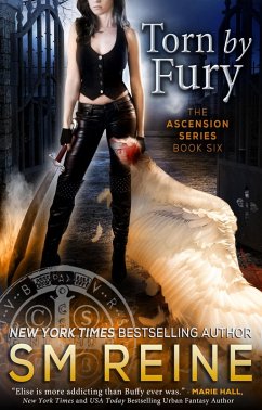 Torn by Fury (The Ascension Series, #6) (eBook, ePUB) - Reine, Sm