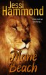 Mane Beach (eBook, ePUB) - Bild 1