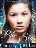 Pole Star (A Star to Guide Her, #3) (eBook, ePUB)