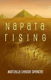 Napata Rising (eBook, ePUB)