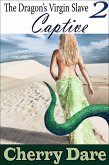 The Dragon's Virgin Slave 2: Captive (eBook, ePUB)