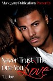Never Trust The One You Love (The Hot Boyz Series, #1) (eBook, ePUB)