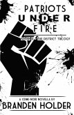 Patriots Under Fire (The District Trilogy, #3) (eBook, ePUB)