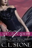 The Academy - Touch of Mischief (The Academy - Bonus Materials) (eBook, ePUB)