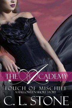 The Academy - Touch of Mischief (The Academy - Bonus Materials) (eBook, ePUB) - Stone, C. L.