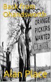 Back from Ohandsworth (eBook, ePUB) Back from Ohandsworth (eBook, ePUB)
