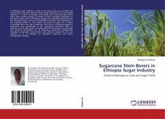 Sugarcane Stem Borers in Ethiopia Sugar Industry