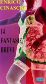 14 fantasie brevi (eBook, ePUB)