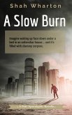 A Slow Burn: A Post-Apocalyptic Horror (eBook, ePUB)