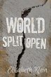 World Split Open - Bild 1
