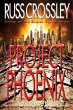 Project Phoenix (eBook, ePUB) - Bild 1