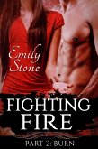 Fighting Fire #2: Burn (eBook, ePUB)