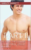 Beyond The Dawns Collection: Three Book Bundle Part II (eBook, ePUB) Beyond The Dawns Collection: Three Book Bundle Part II (eBook, ePUB)