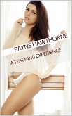 A Teaching Experience (eBook, ePUB) A Teaching Experience (eBook, ePUB)