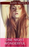 One Night Wonderful (eBook, ePUB) One Night Wonderful (eBook, ePUB)