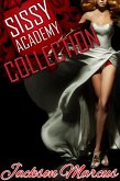 Sissy Academy Collection (eBook, ePUB)