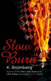 Slow Burn (eBook, ePUB)