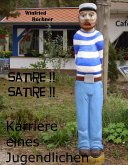 Karriere eines Jugendlichen (eBook, ePUB)